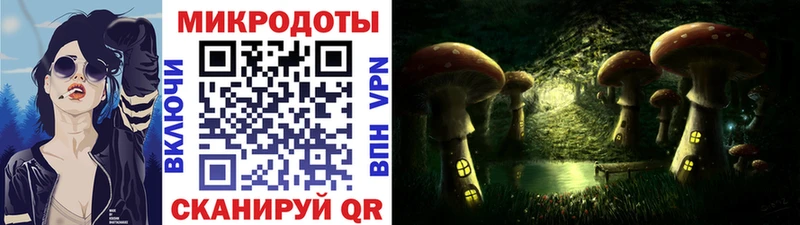 Галлюциногенные грибы мицелий  Боготол 
